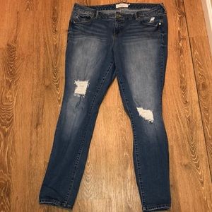 Torrid Jeans